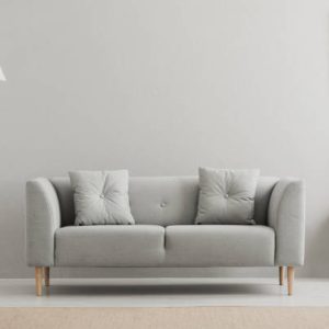 White / Gray Sofa